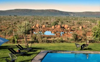 Madikwe Lelapa Lodge [320x200]
